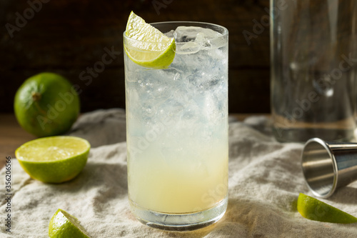 Boozy Alcoholic Lime Gin Rickey Cocktail © Brent Hofacker