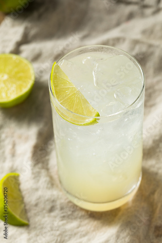 Boozy Alcoholic Lime Gin Rickey Cocktail © Brent Hofacker