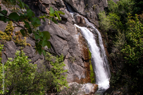 Stream in Ida Mountain  Beautiful nature. Turkey.