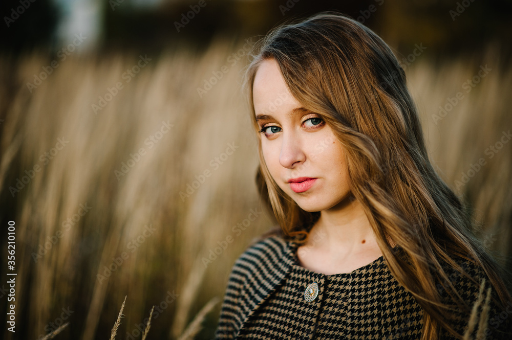 Portrait of a beautiful girl in autumn against the background of the field on the nature. Portrait of a beautiful girl in autumn against the background of the field on the nature.