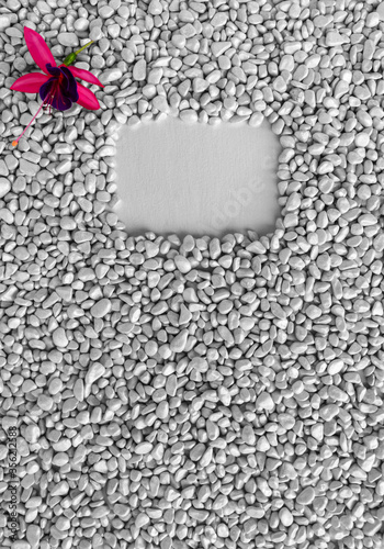 Cover design template.Student notebook mockup or school exercise book background with small grey smooth stones,pebbles and fuchsia flower with pistil in left upper corner.White rectangular copyspace