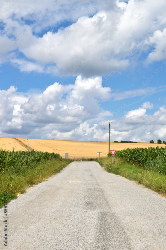 A country road in the middle of corn and wheat fields.