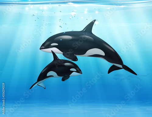 Killer Whale In Sea Realistic Composition