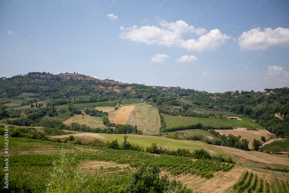 Beautiful Tuscany backdrop from a small hill-side town. Wine fields as far as the eye can see.