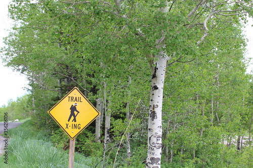 Trail Crossing Sign