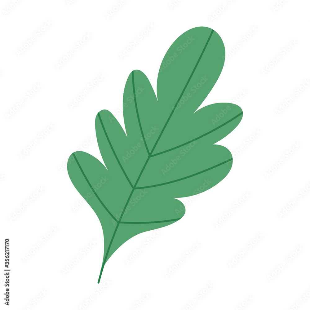 green leaf foliage nature botanical isolated icon design