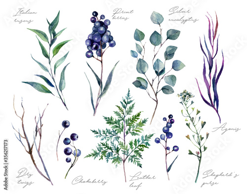 Watercolor Collection of Trendy Wedding Greenery Isolated on White Background.