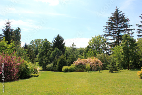 Park place to relax with green grass and trees
