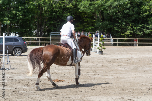 Man riding a pinto horse at gallop