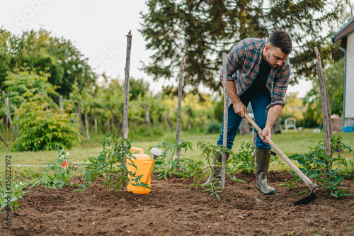 farmer working  in home vegetable garden