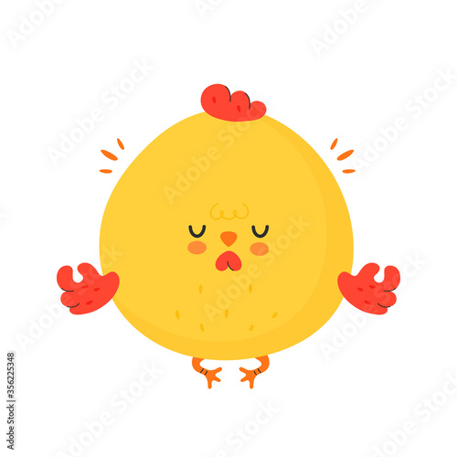 Cute funny chicken cock meditate