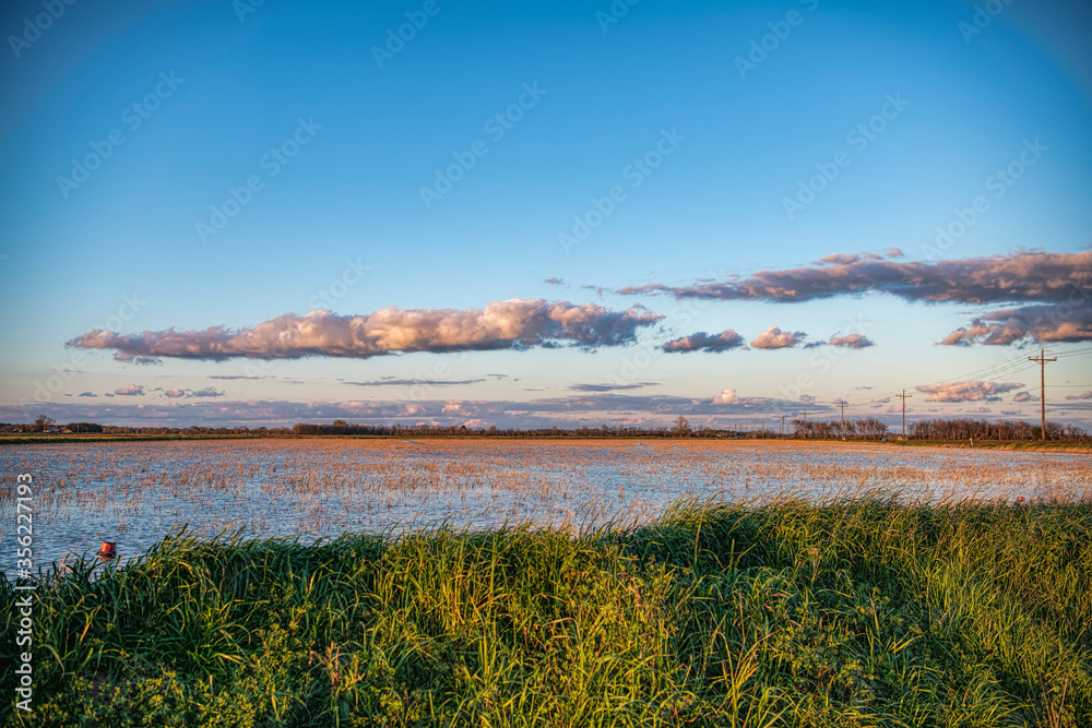 Flooded Louisiana Rice Field With Low Lying Clouds Overhead During Golden Hour Before Sunset