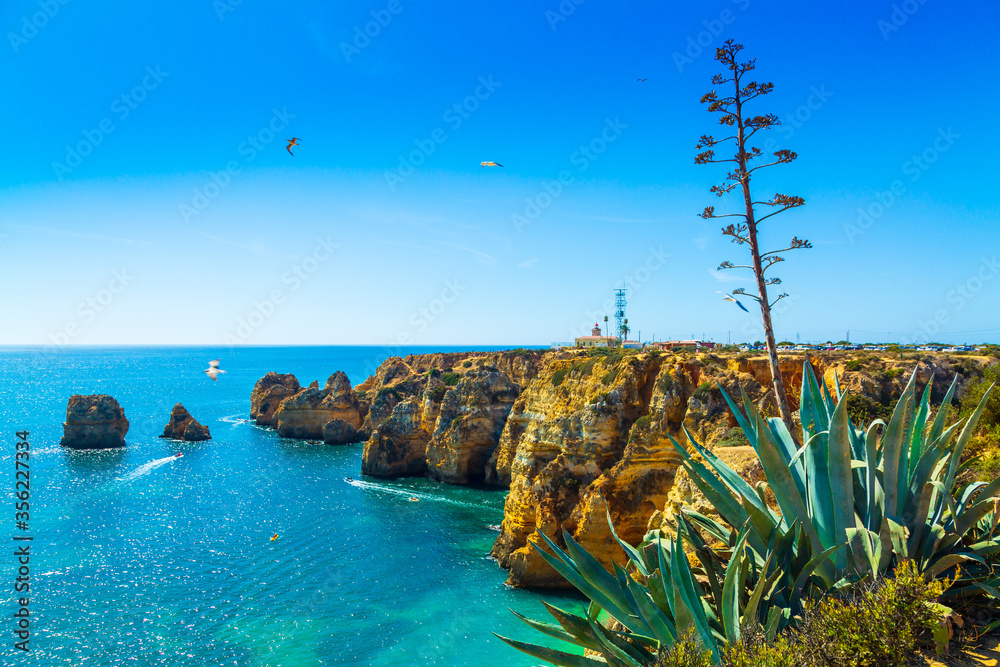 Amazing cliffs above Algarve coastline and agave succulent plant neer Lagos city in Portugal, Europe