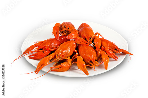 Red boiled crayfish on a plate isolated on a white background