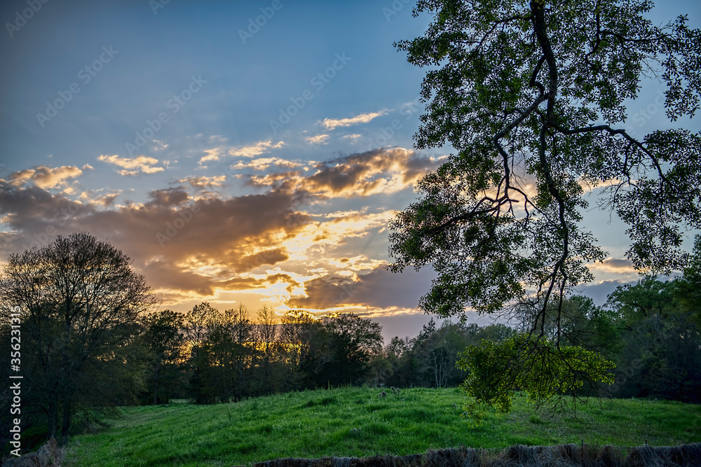 Cloudy Sunrise Over a Green Meadow in St. Landry Parish Louisiana