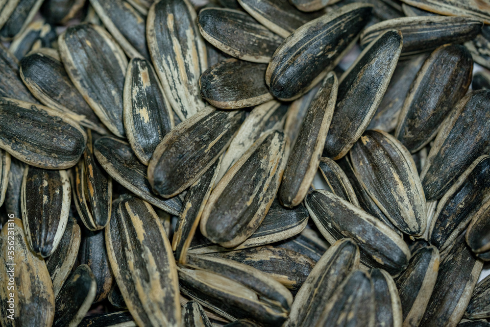 Close-up image of sunflower seed background Close-up image of sunflower seed background