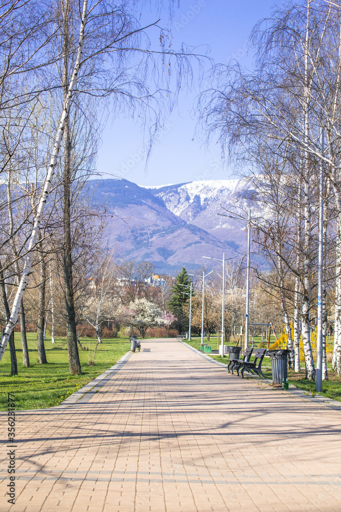 Obraz premium Empty park and children's playground. Coronavirus quarantine.