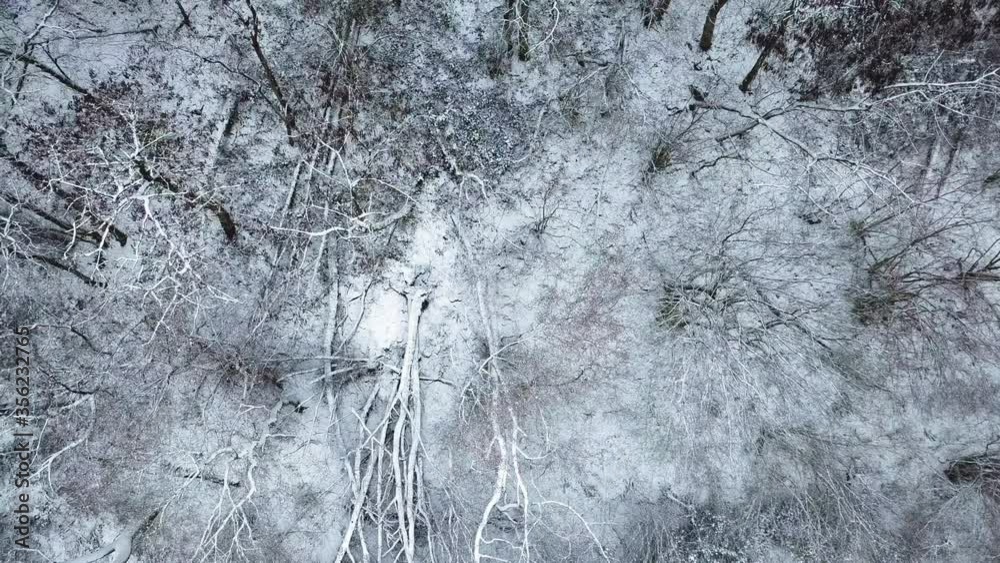 WS AERIAL POV Forest in winter / Saarburg, Rhineland-Palatinate, Germany WS AERIAL POV Forest in winter / Saarburg, Rhineland-Palatinate, Germany