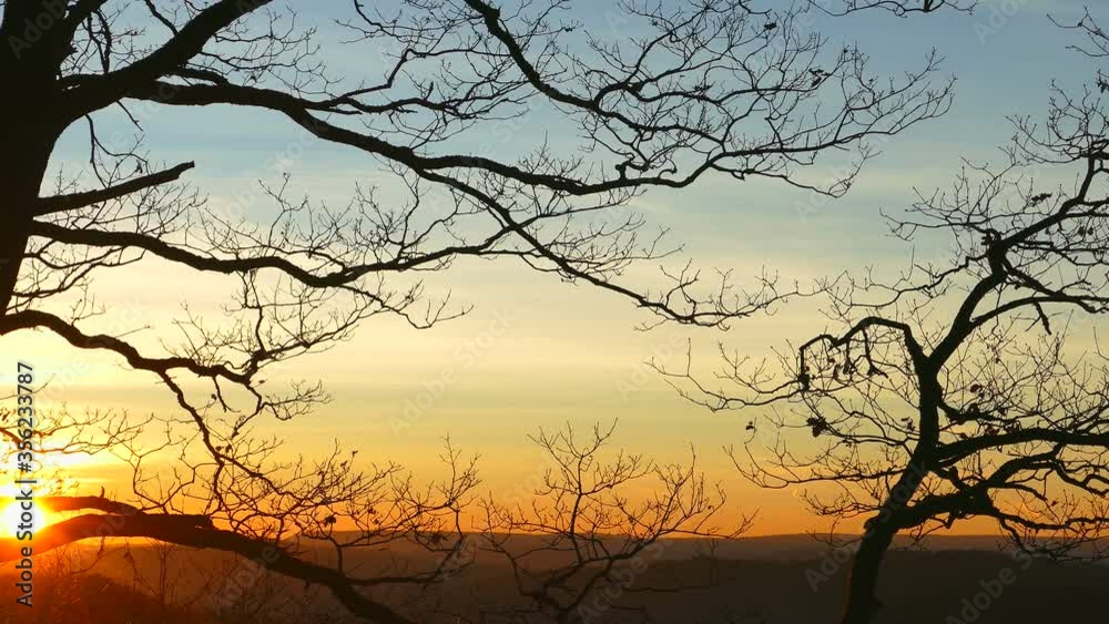WS PAN Bare tree against sunrise sky / Mettlach, Saarland, Germany WS PAN Bare tree against sunrise sky / Mettlach, Saarland, Germany