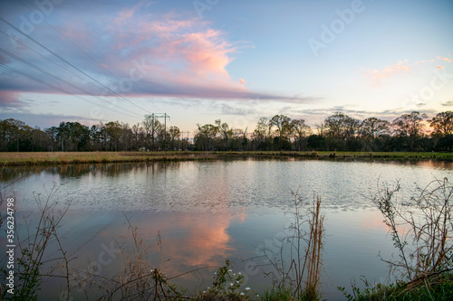 Tranquil Scene of a Small Pond with Pink Clouds Reflected on Its Surface in Rural Louisiana