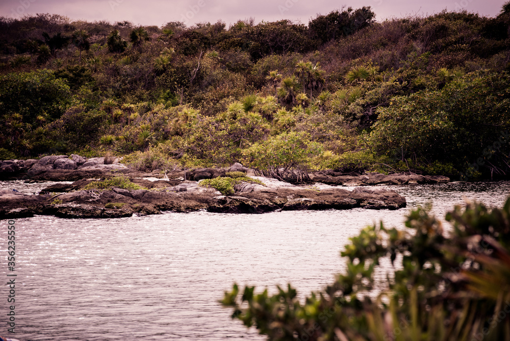 Natural View of Lagoon / river and park with clear turquoise water & rocky coastline of Xel Ha, Mayan Riviera , Mexico Natural View of Lagoon / river and park with clear turquoise water & rocky coastline of Xel Ha, Mayan Riviera , Mexico
