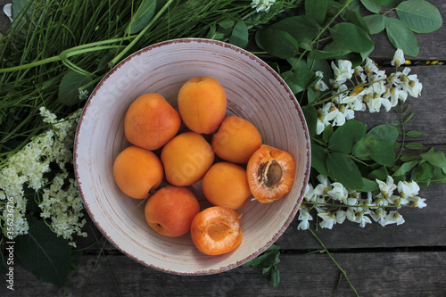 Ripe fresh apricots in a white vintage bowl on a rustic wooden table decorated with acacia flowers, elderberries and herbs. Summer composition