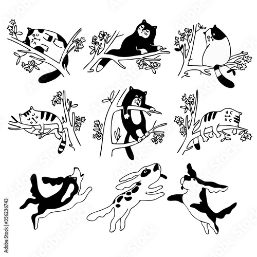 Set of cats and dogs. Cartoon style. Cats sleep on the branches of trees, dogs bark at cats, play, jump in the Park. Doodle style. Outline style. Vector illustration