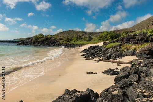 A view of the beach at Punta Cormorant  Floreana Island  Galapagos. 