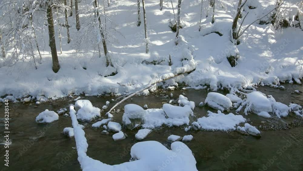 WS Breitach River in forest in winter / Oberstdorf, Bavaria, Germany WS Breitach River in forest in winter / Oberstdorf, Bavaria, Germany