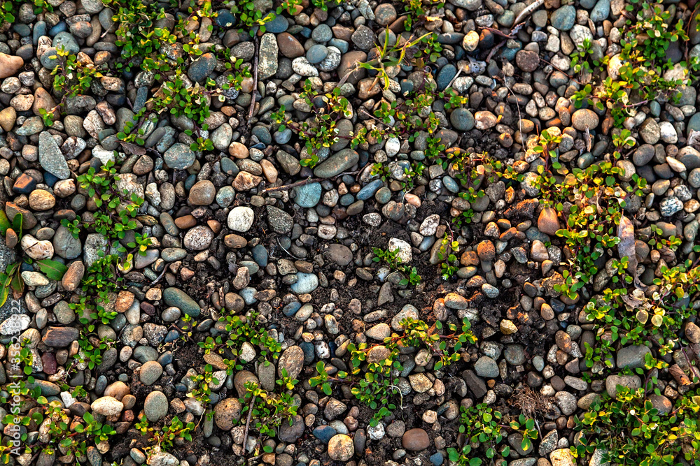 Small smooth waterworn pebbles, stones for use decor and garden landscaping. Small smooth waterworn pebbles, stones for use decor and garden landscaping.