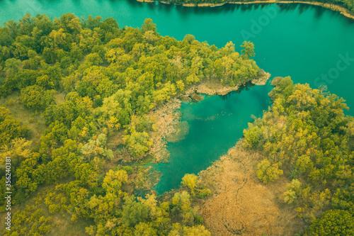 the river and its canals surrounded by oaks. water is covered with algae - Aerial Flight  © Dmytro
