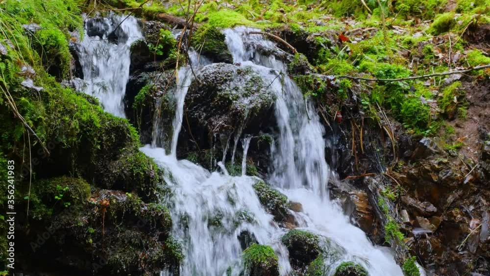 MS Waterfall and moss / Kastel-Staadt, Rhineland-Palatinate, Germany MS Waterfall and moss / Kastel-Staadt, Rhineland-Palatinate, Germany