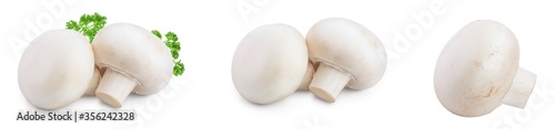 Fresh mushrooms champignon isolated on white background with clipping path and full depth of field. Set or collection