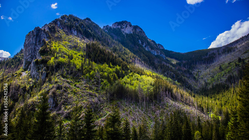 Dolina Kościeliska w Tatrach Zachodnich w Tatrzańskim Parku Narodowym