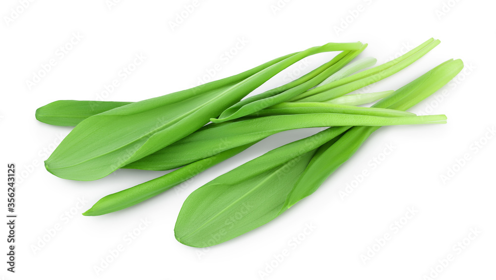 Ramson bunch vegetable isolated on white background with clipping path and full depth of field Ramson bunch vegetable isolated on white background with clipping path and full depth of field