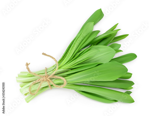 Ramson bunch vegetable isolated on white background with clipping path and full depth of field, Top view. Flat lay