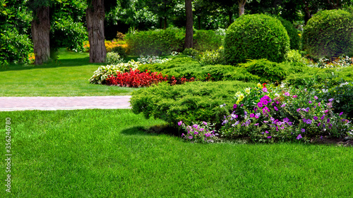 landscape garden flowerbed with plants in a leisure backyard with flowers and trees on sunny summer day nobody.
