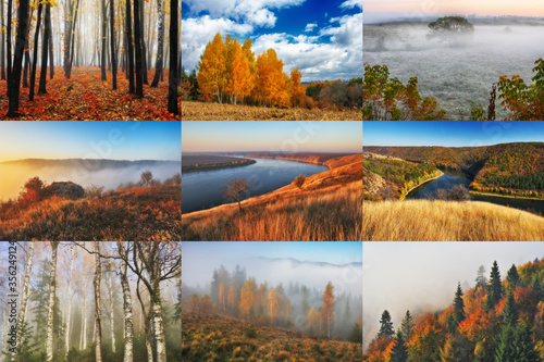 Autumn Collage. series of autumn landscapes