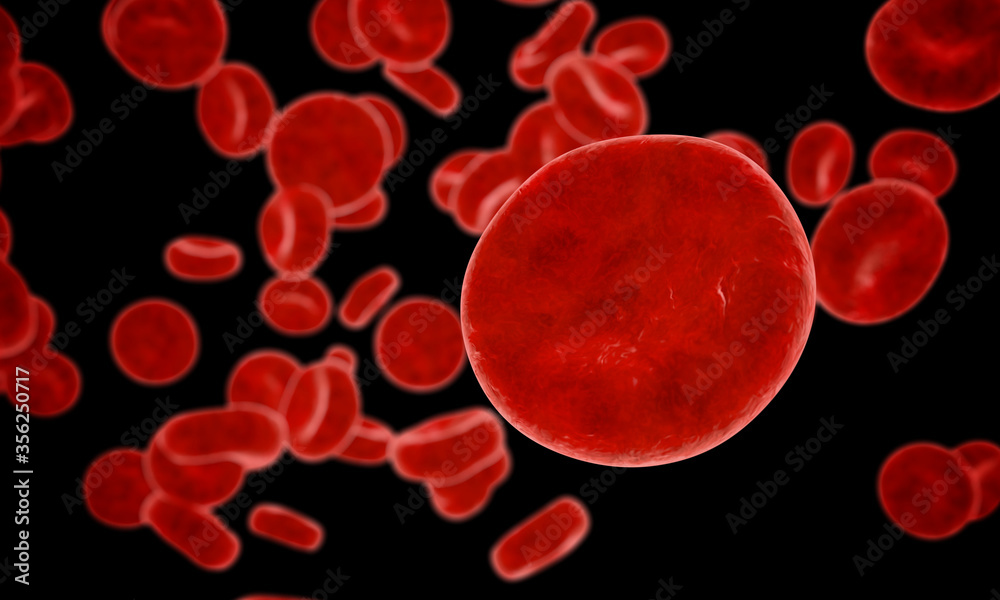 Erythrocyte, red blood cells, anatomy concept. 3d rendering