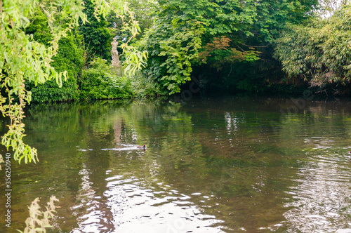 London  England  United Kingdom - 9 June 2015  The River Wandle running through Morden Hall Park in South West  London 