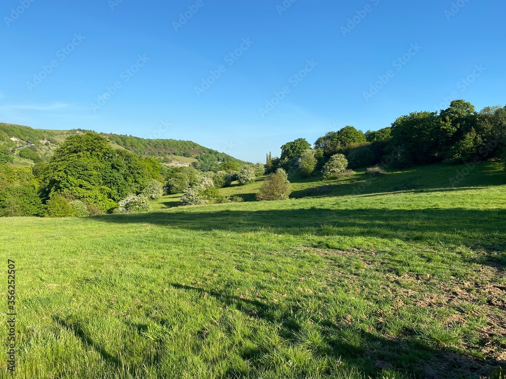 Landscape view of a meadow and trees in, Shibden Valley, Halifax, UK