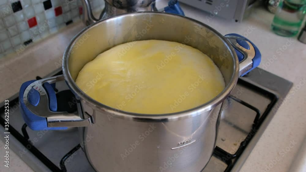 cooking healthy natural cow milk at home on the stove,milk that starts to boil on the stove, cooking healthy natural cow milk at home on the stove,milk that starts to boil on the stove,