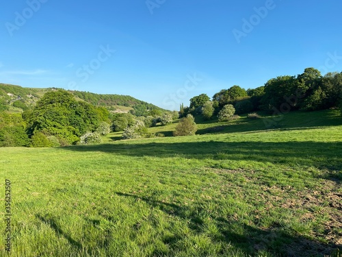 Landscape view of a meadow and trees in, Shibden Valley, Halifax, UK