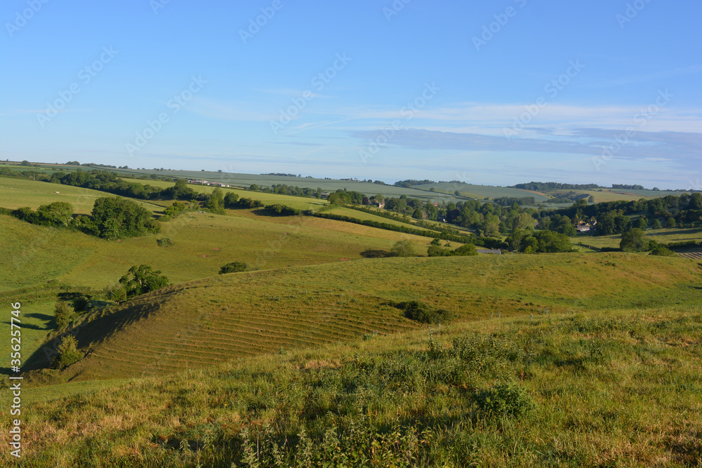 Early morning view, landscape of farm fields and green rolling hills in summer, towards the hamlet of Poyntington, Sherborne, Dorset, England