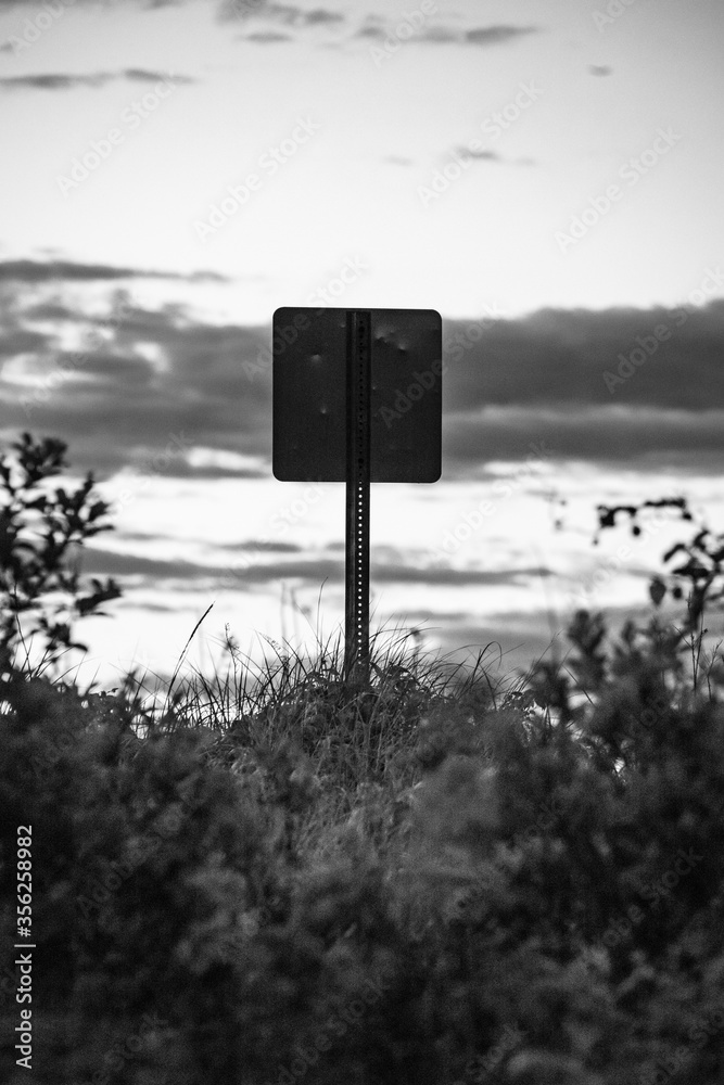 abstract portrait of street sign in the brush