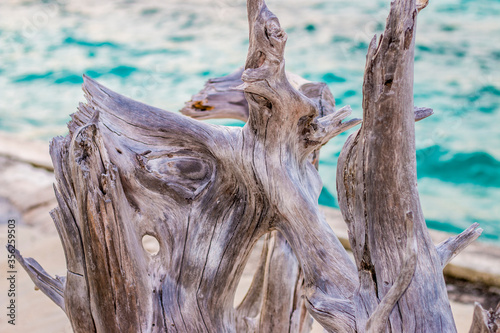 Summertime at the sea and the mountains 