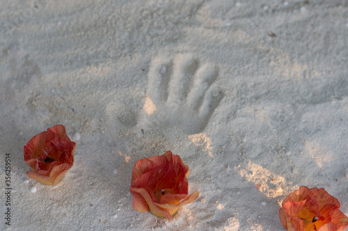 Summertime at the sea and the mountains 