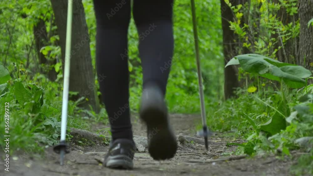 Young woman doing nordic walking sport on a forest trail on a summer day. Low angle shot.