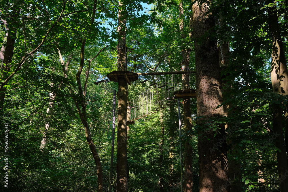 Fototapeta premium Treetop adventure park with rope course.