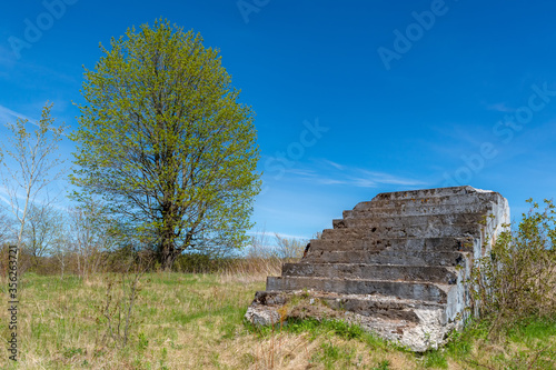 An old set of leading up to nowhere. The stairs are crumbling in places, and have moss and lichens on them. Tree in background, blue sky above.